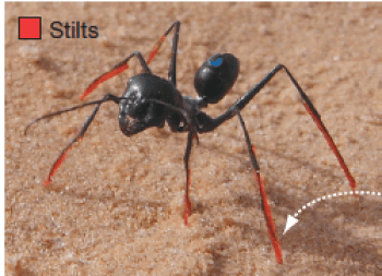 Screen Shot 2012-12-01 at 8.24.53 AM